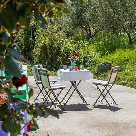 Good Vibrations Rozat