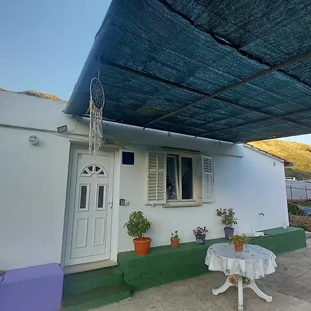 Apartment Good Vibrations *