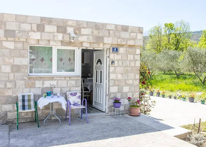 Good Vibrations 아파트 Rozat