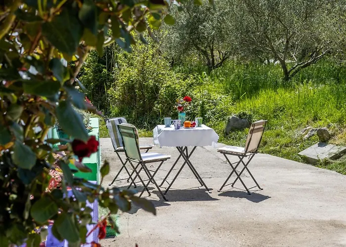 Good Vibrations Rozat