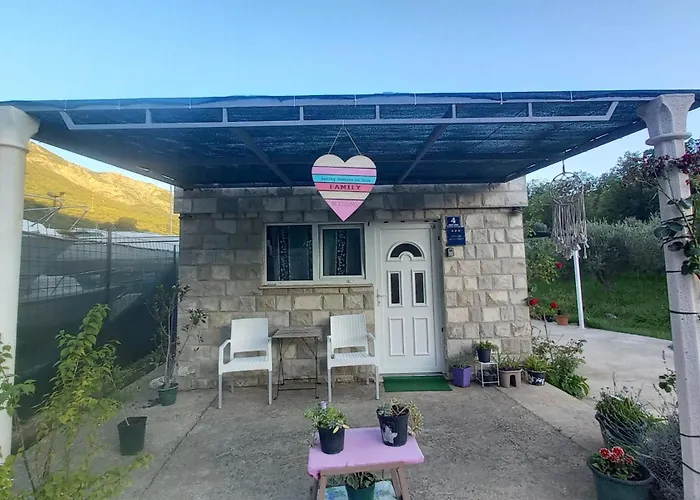 Good Vibrations * Rozat